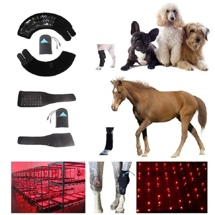 LED Red Light Therapy Equine Poll Cap Red Light Therapy