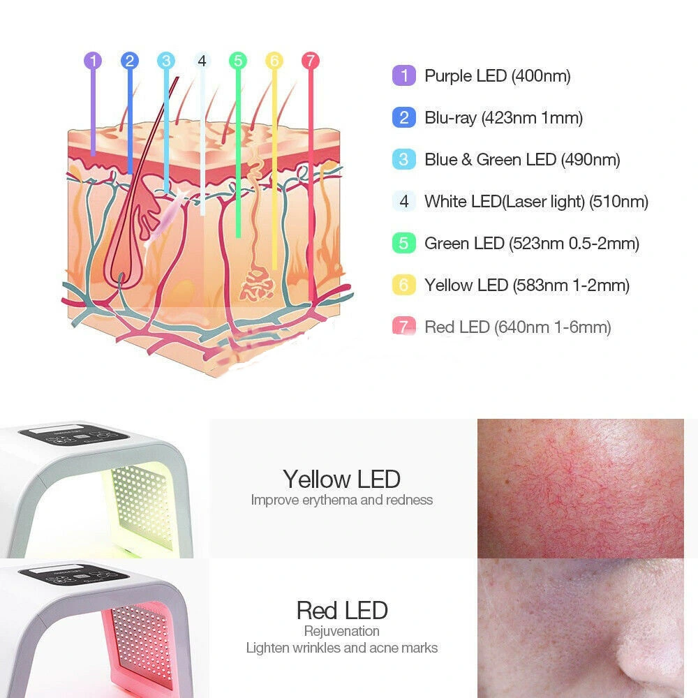 PDT System Photon LED Photo Rejuvenation Therapy Machine